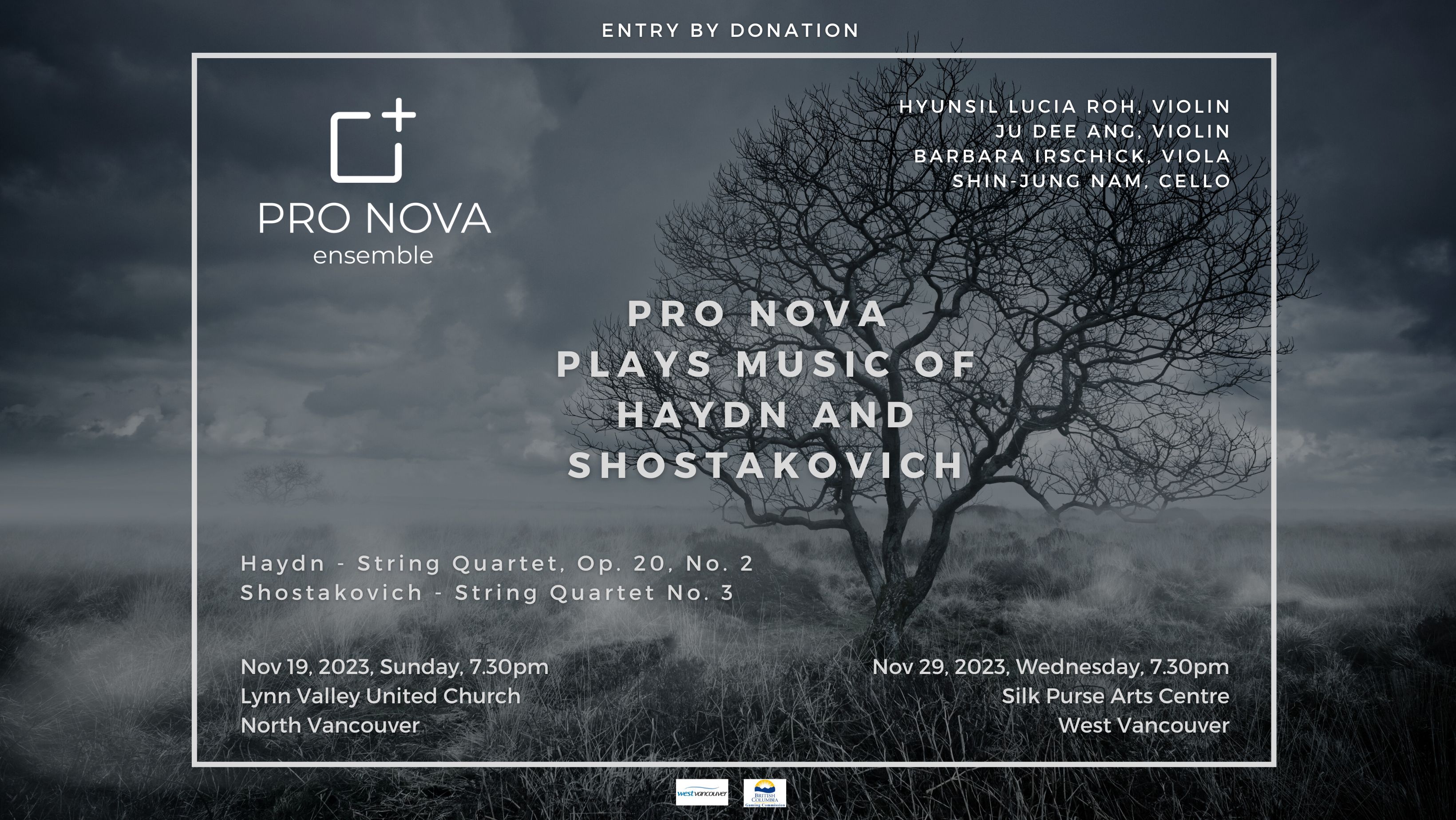 The Pro Nova Ensemble Web Site